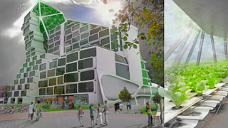 Illustration for article titled This is what farms will look like in the future